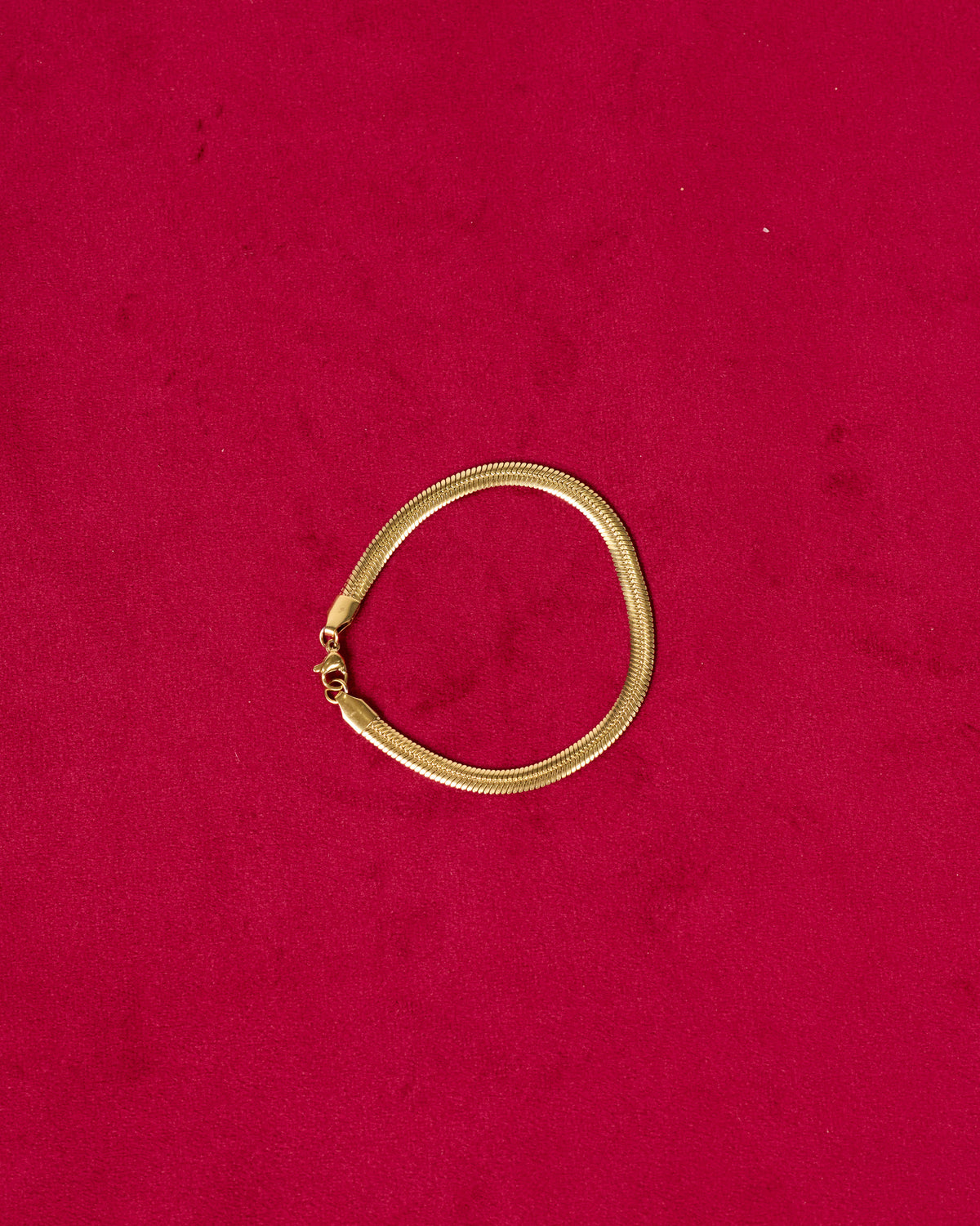 VENIN — Snake Chain Bracelet